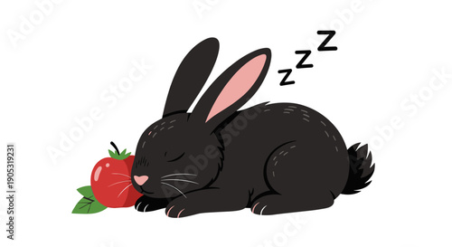 Cute black rabbit sleeping peacefully next to a ripe tomato.