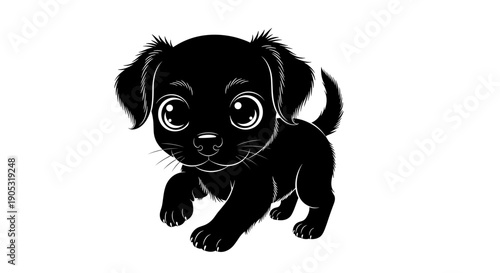 Cute Black Puppy with Big Eyes Walking Forward.