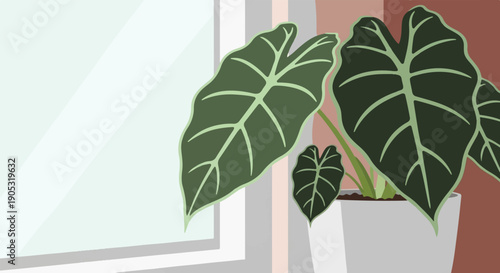 Large green leaves of an indoor plant sit next to a window