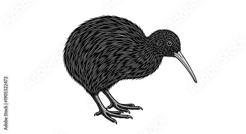 Detailed Black and White Illustration of a Kiwi Bird.