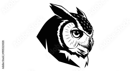Detailed Black and White Illustration of an Owls Head 2.