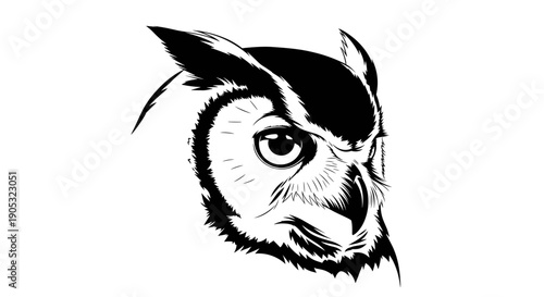 Detailed Black and White Illustration of an Owls Head.