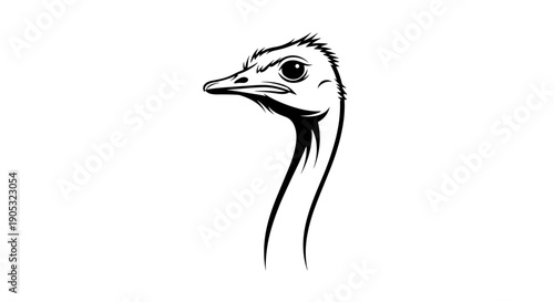 Detailed Black and White Ostrich Head Illustration.