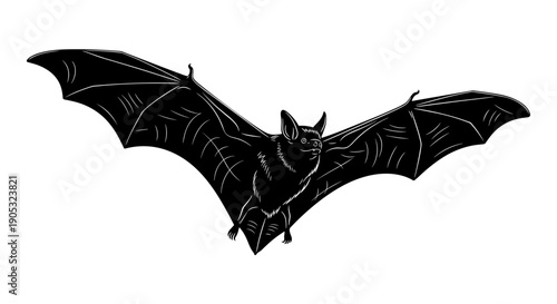 Detailed Illustration of a Black Bat in Flight.