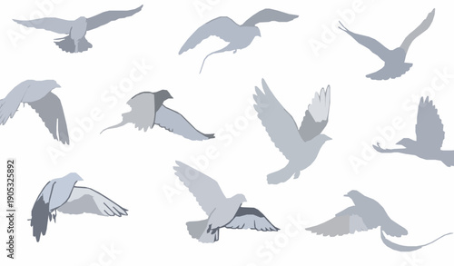 Elegant Hand Drawn Flying Bird Vector Set with Organic Flight Poses and Natural Flock Silhouettes