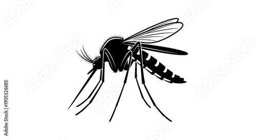 Detailed Illustration of a Mosquito Insect with Intricate Wings and Legs.