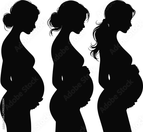 Pregnant woman silhouettes in profile, maternity stages, pregnancy body shape, motherhood, prenatal health, female beauty, and expecting concept