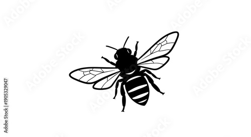Detailed Silhouette of a Honey Bee in Flight.