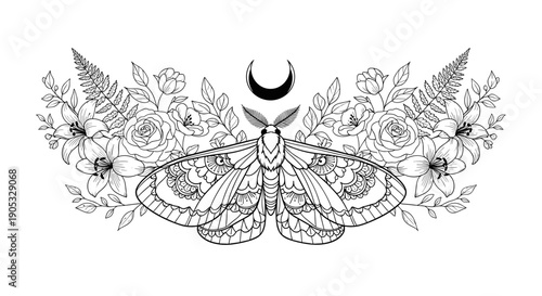 Detailed Moth Illustration with Celestial Crescent Moon Symbol.