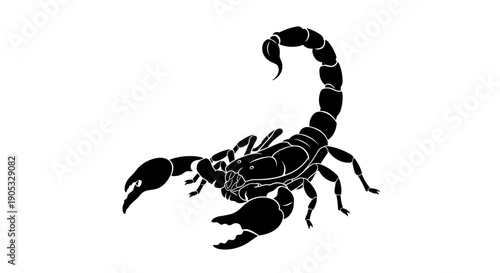 Detailed Silhouette of a Scorpion with Claws Raised.