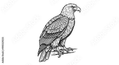 Detailed Sketch of a Majestic Eagle Perched on a Branch.
