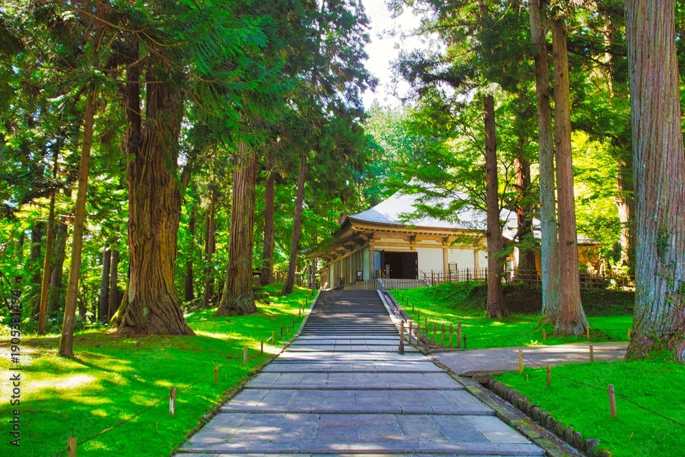 Obraz premium 中尊寺（金色堂）