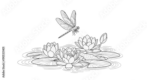 Dragonfly Hovering Above Delicate Water Lilies in Artistic Sketch.