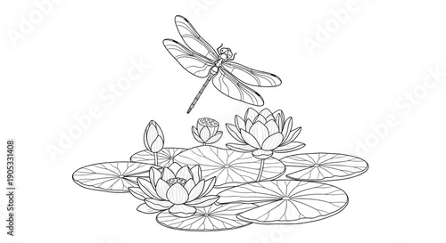 Dragonfly Above Water Lilies and Lily Pads Line Art.
