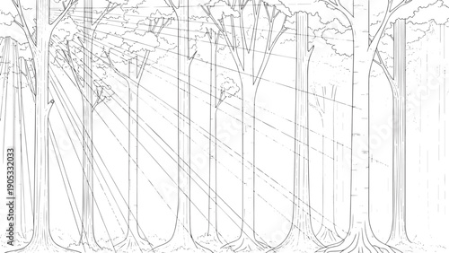 Monochrome forest avenue with tall leafless trees receding into the distance.