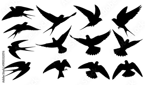 Elegant Black Flying Birds Silhouettes Vector Design on White