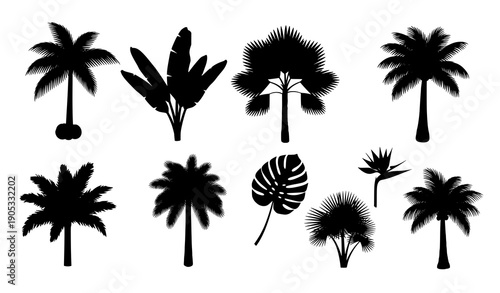 Nine Tropical Palm Tree Silhouette Icons Vector Black on White