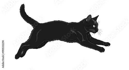Elegant Black Cat in MidLeap Motion.