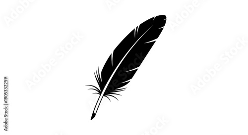 Elegant Black Feather Isolated on White Background 2.