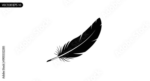 Elegant Black Feather Isolated on White Background Vector.