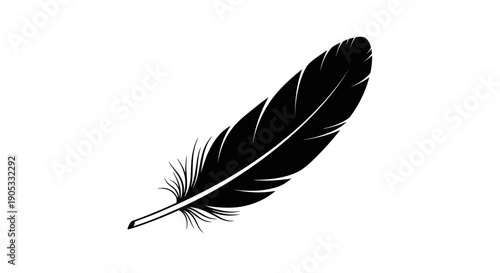 Elegant Black Feather Isolated on White Background.
