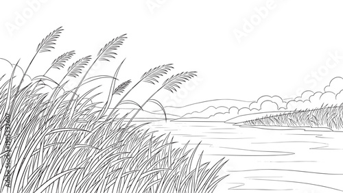 Quiet grayscale landscape featuring tall reeds along a tranquil waterway at the shore.