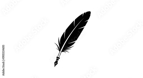 Elegant Black Feather with Quill Nib Detail.