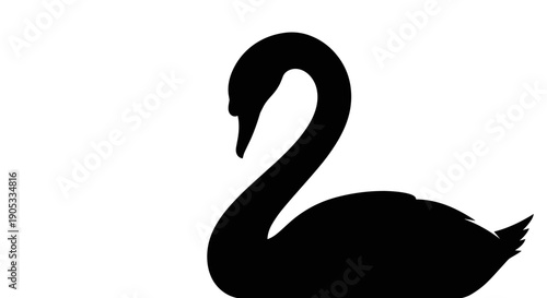 Elegant Black Swan Silhouette on White Background.