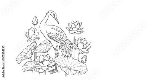 Elegant Crane Bird Amidst Blooming Lotus Flowers Line Art.