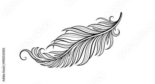 Elegant Feather Illustration with Swirling Details.