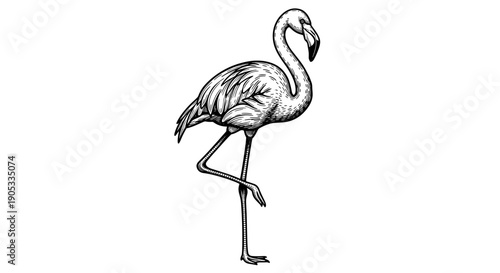 Elegant Flamingo Standing on One Leg Detailed Sketch.