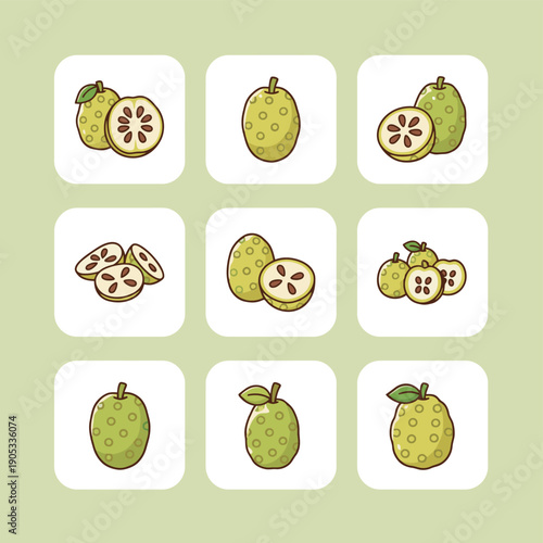 Noni fruit icons set with whole fruit sliced parts and seeds for tropical superfood healthy supplement exotic fruit juice and organic nutrition design