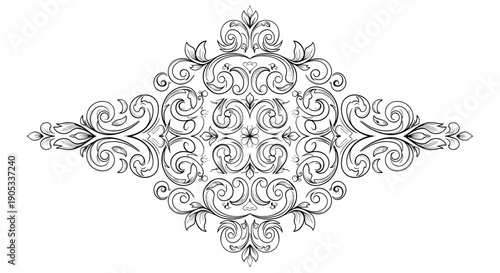Elegant Swirls and Flourishes Decorative Element 2.