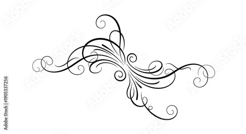 Elegant Swirls and Flourishes Decorative Element 5.