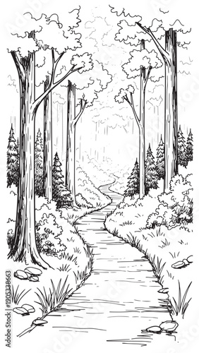 Serene forest path through tall trees with dappled light in a quiet woodland setting.