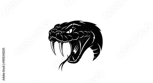 Fierce Black Snake Head with Fangs Bared.