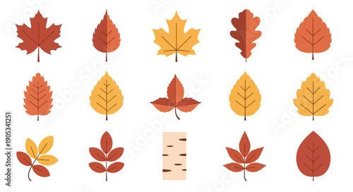 Collection of Various Autumn Leaves Shapes.