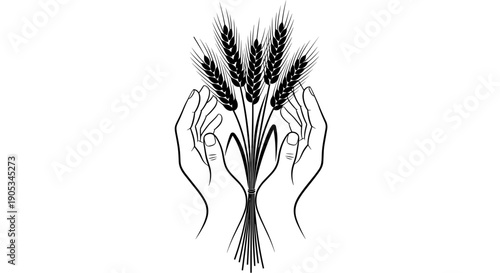 Hands Holding Wheat Stalks Illustration.