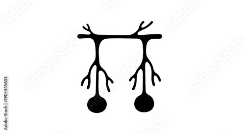 Illustration of two Purkinje cells in the cerebellum.