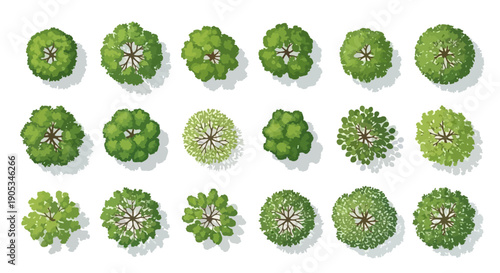 Top View Tree Illustrations Set for Landscape Design and Garden Planning