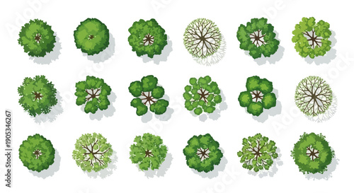 Collection of Top-Down Tree Illustrations for Landscape Design and Architecture