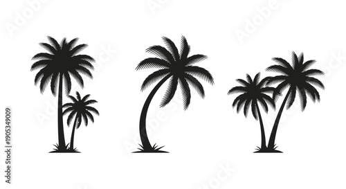 Set of Black Palm Tree Silhouettes Isolated on a White Background, Tropical Vector Art