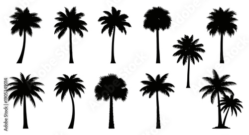 Collection of Black Palm Tree Silhouettes Vector Illustrations on White Background
