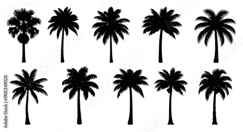 Collection of Diverse Tropical Palm Tree Silhouettes on White Background