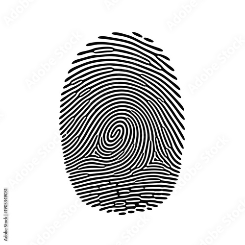 Unique Fingerprint Identity Vector Illustration for Security, Biometrics, and Personal