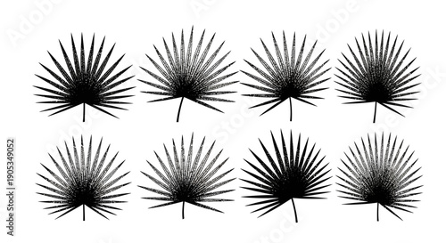 Set of Black Palm Leaf Silhouettes with Textured Effect on White Background