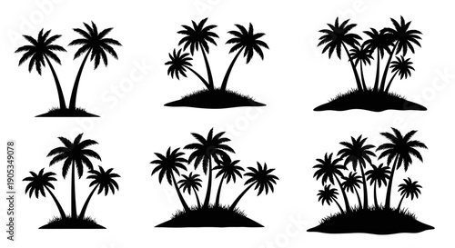 Collection of Tropical Island Palm Tree Silhouettes on a White Background