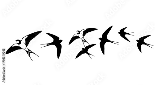 Diverse Swallows Flying in Formation, Black and White Vector Illustration