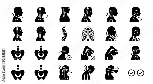 Human Anatomy Icons: Spine, Ribs, Pelvis and Posture Collection