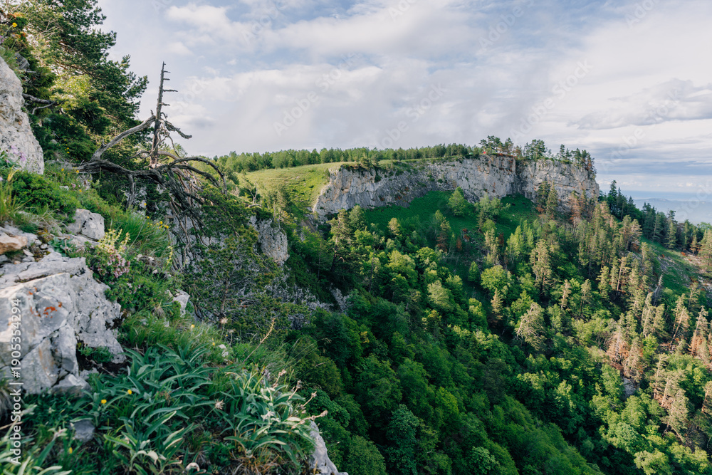 Obraz premium Rocky mountains surrounded by lush forest in summer with sunlight